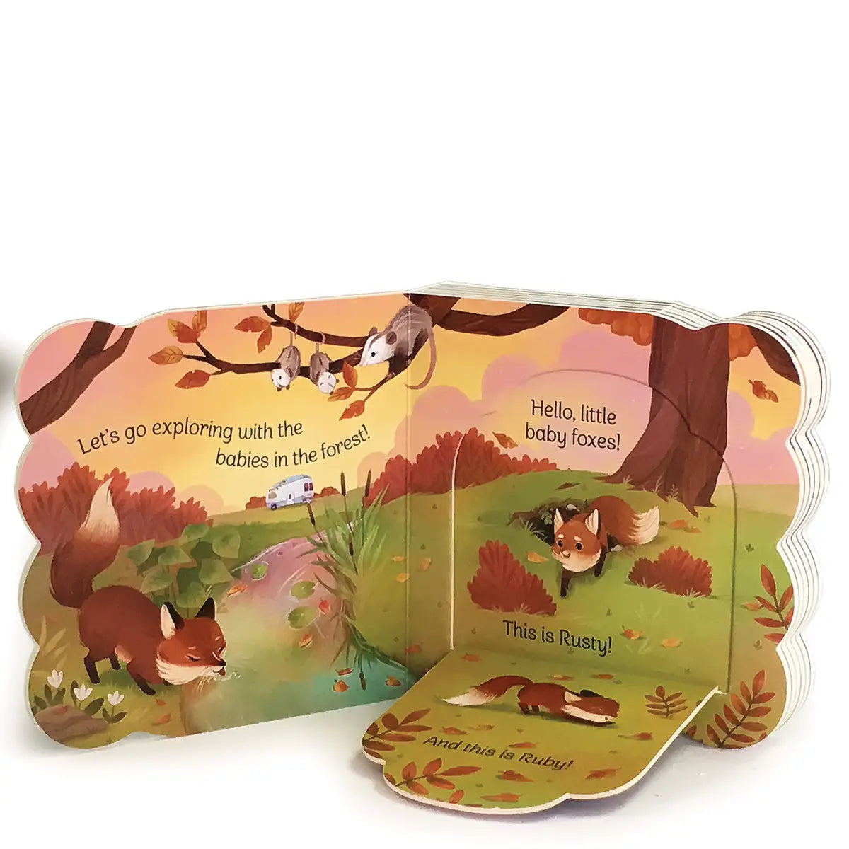 Babies in the Forest Book