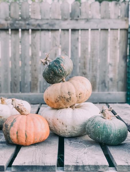 No Trick Or Treating? No problem.