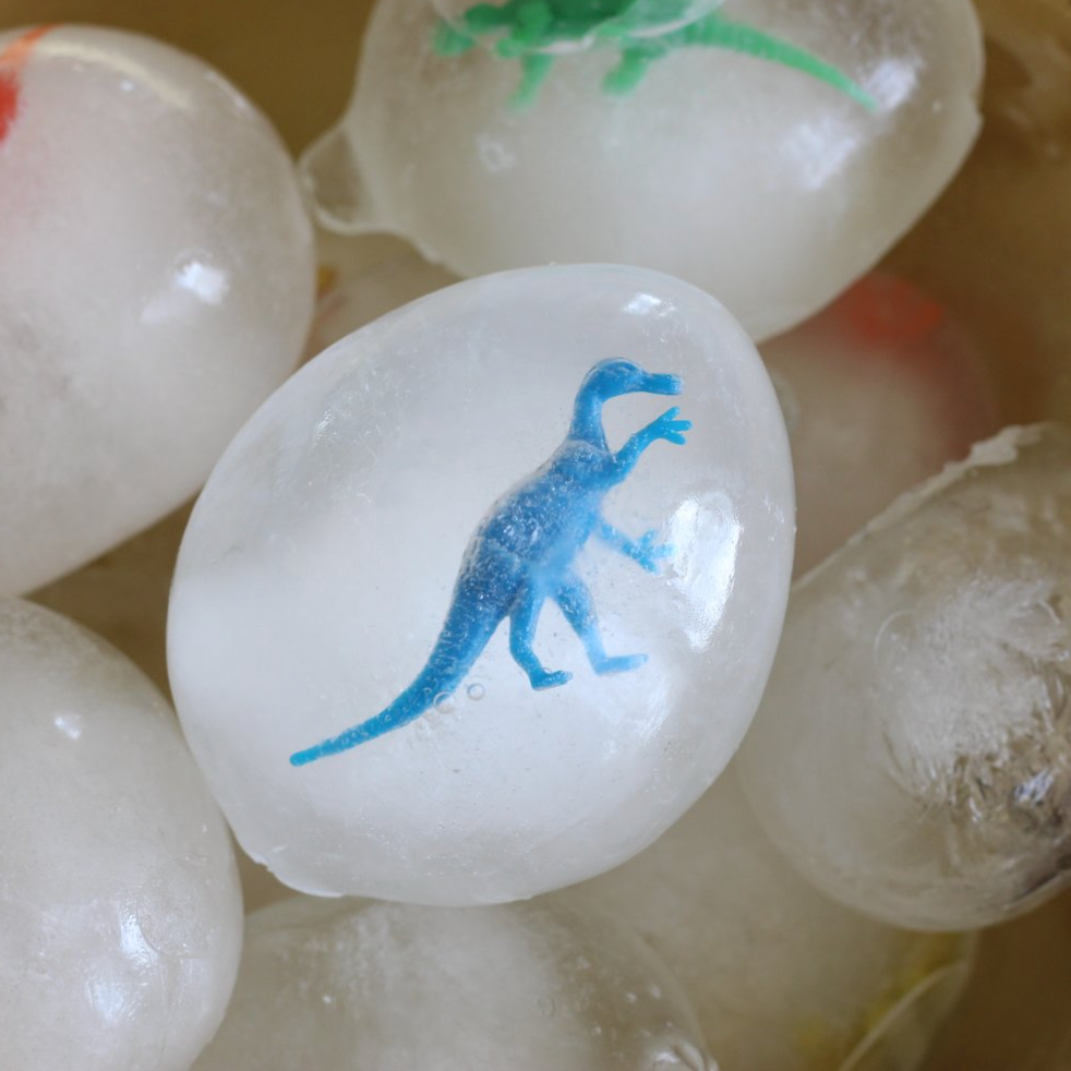 Science for Littles: Dinosaur Eggs