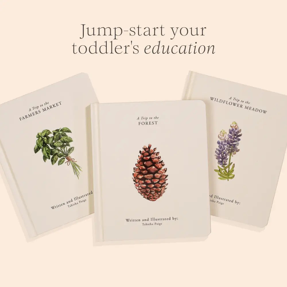 Our Little Adventures