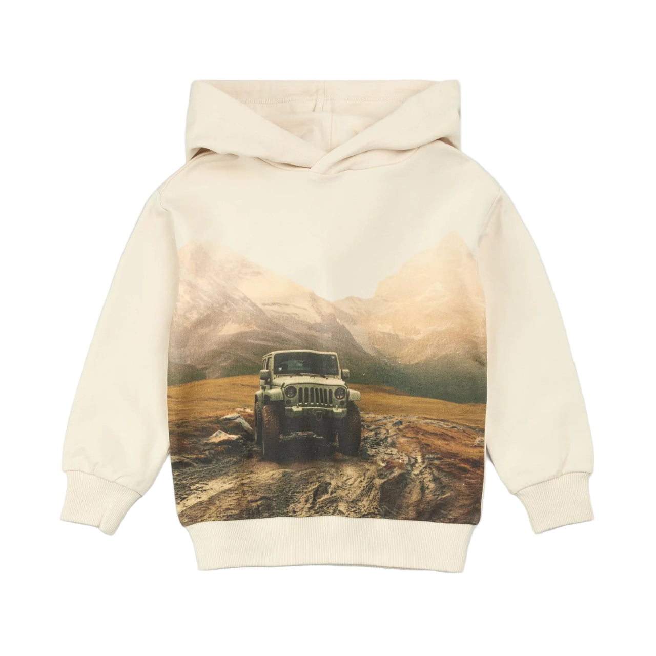 Trek + Trail Birch Hoodie
