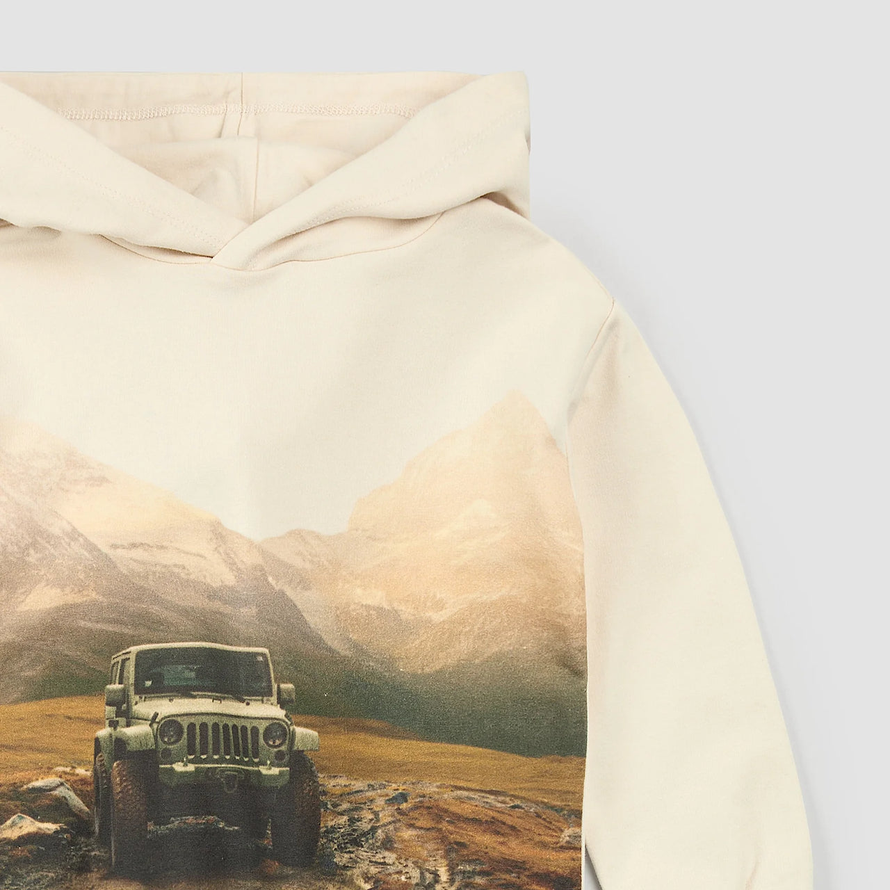 Trek + Trail Birch Hoodie
