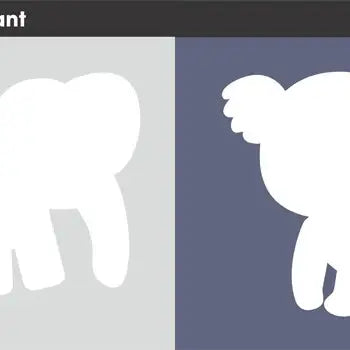 First Sticker Art: Zoo Animals
