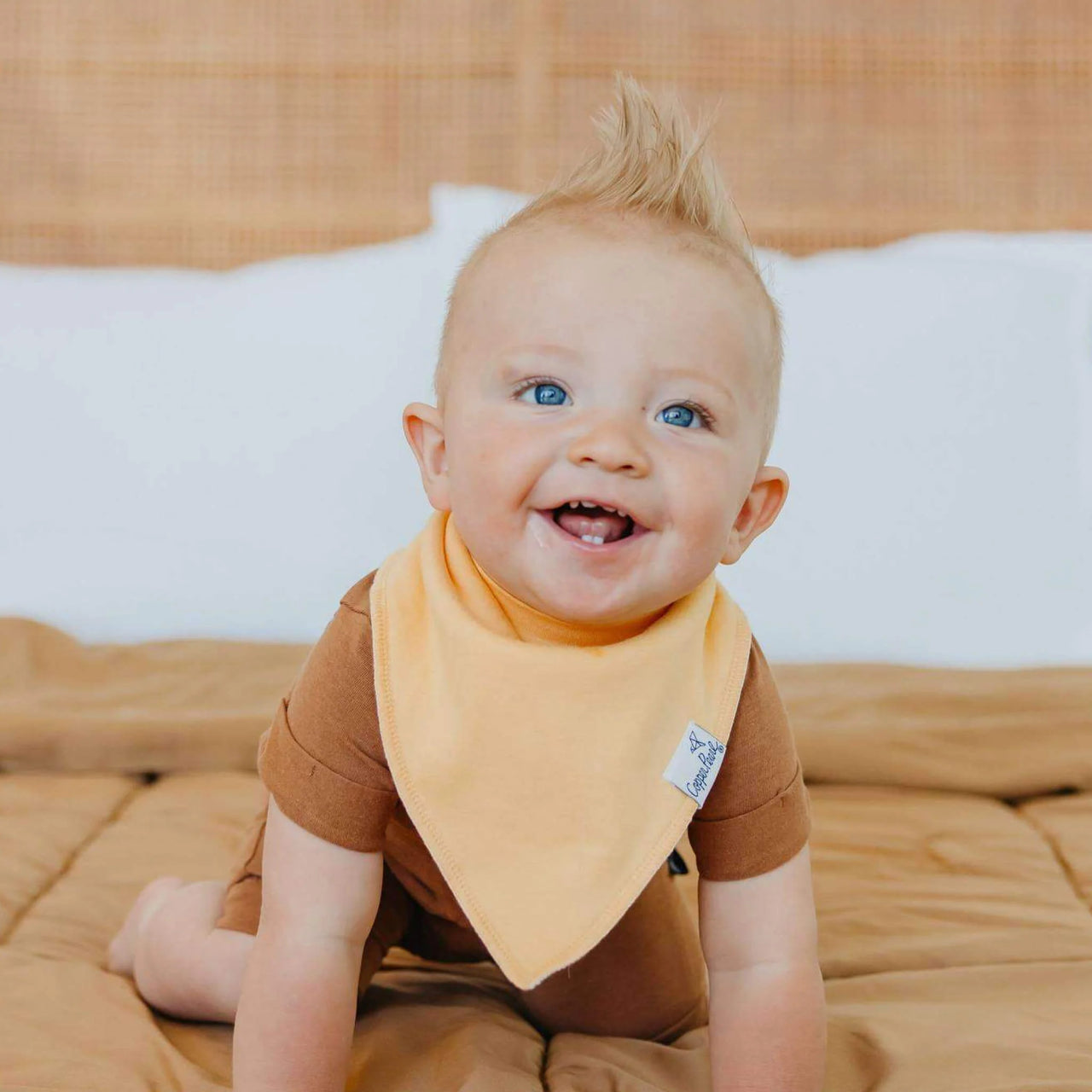 Baby Bandana Bib Set of 4- Bennie