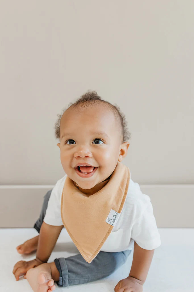 Baby Bandana Bib Set of 4- Dune