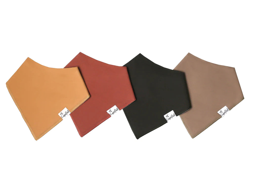 Baby Bandana Bib Set of 4- Dune