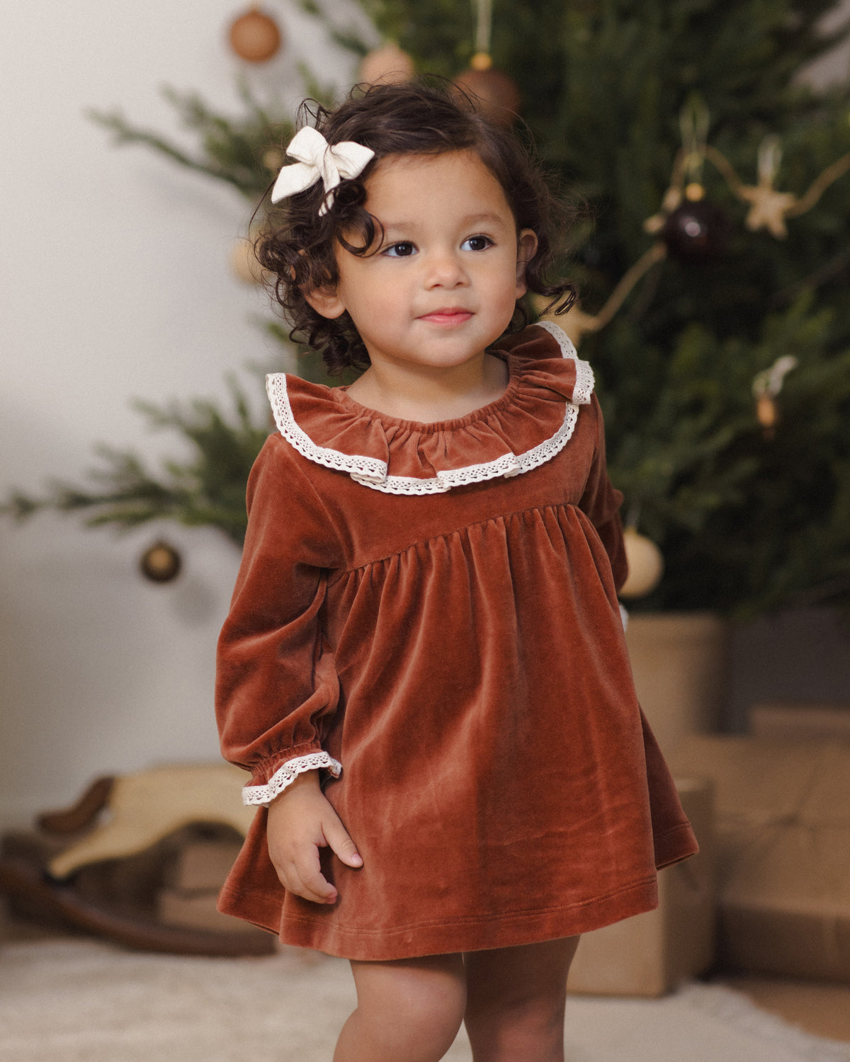 Velour Baby Dress- Redwood