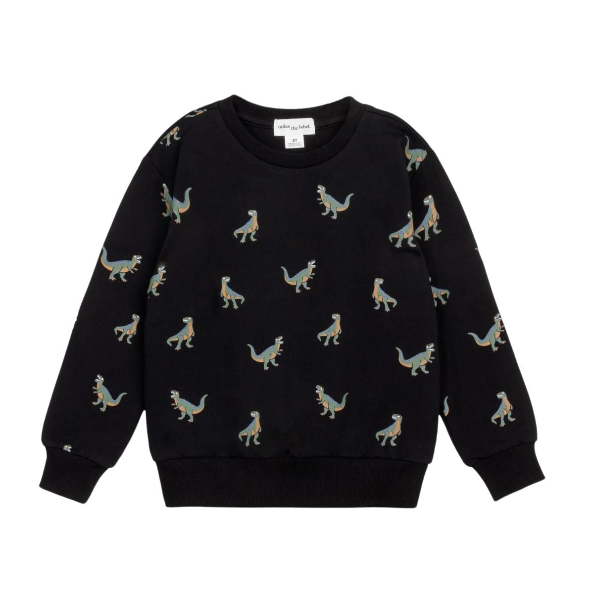 T-Rex Print on Black Sweatshirt