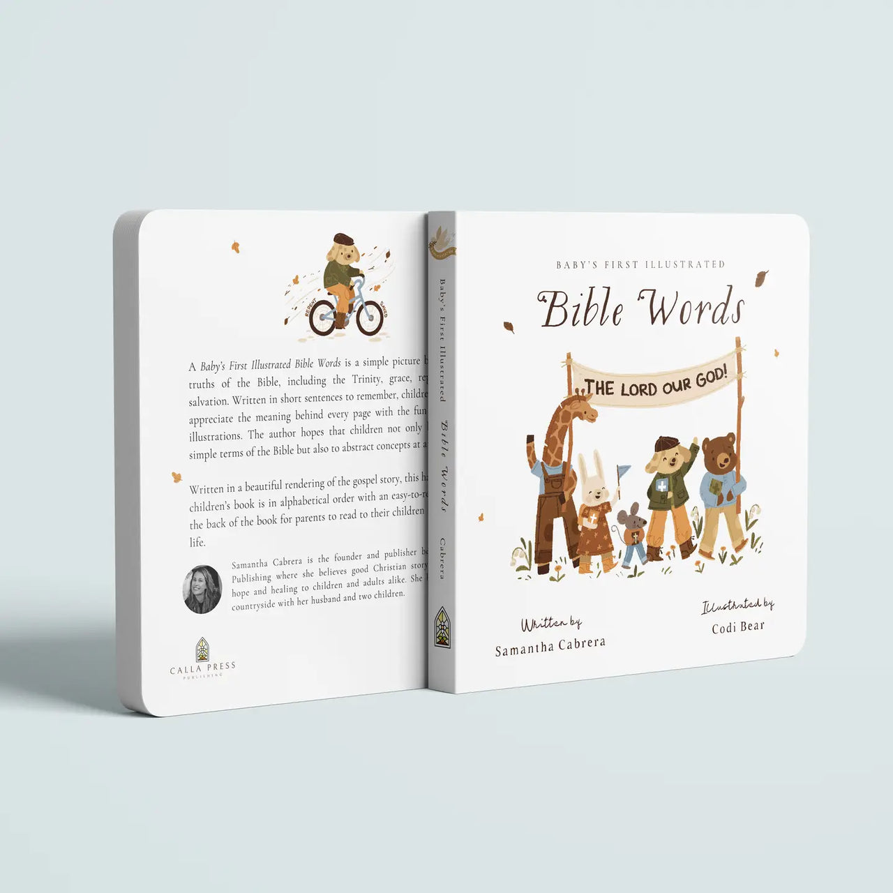 A Child's First Illustrated Book of Bible Words