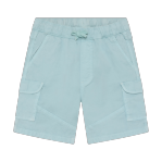 Aqua Woven Shorts