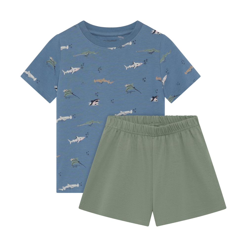 Blue Fish 2-Piece Set