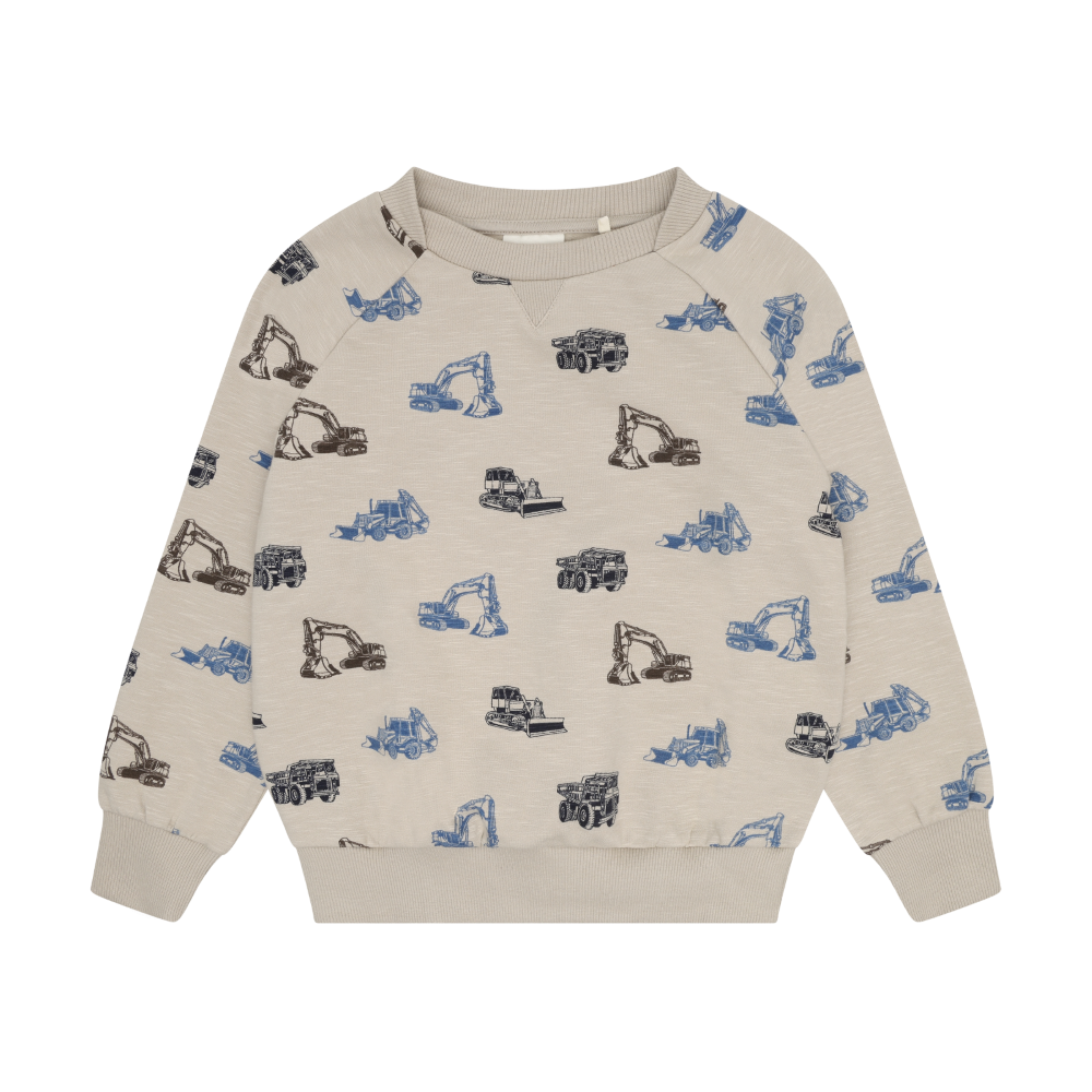 Feather Grey Printed Sweatshirt