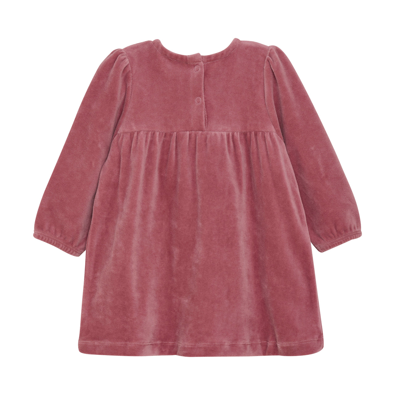 Nostalgia Rose Velour Dress