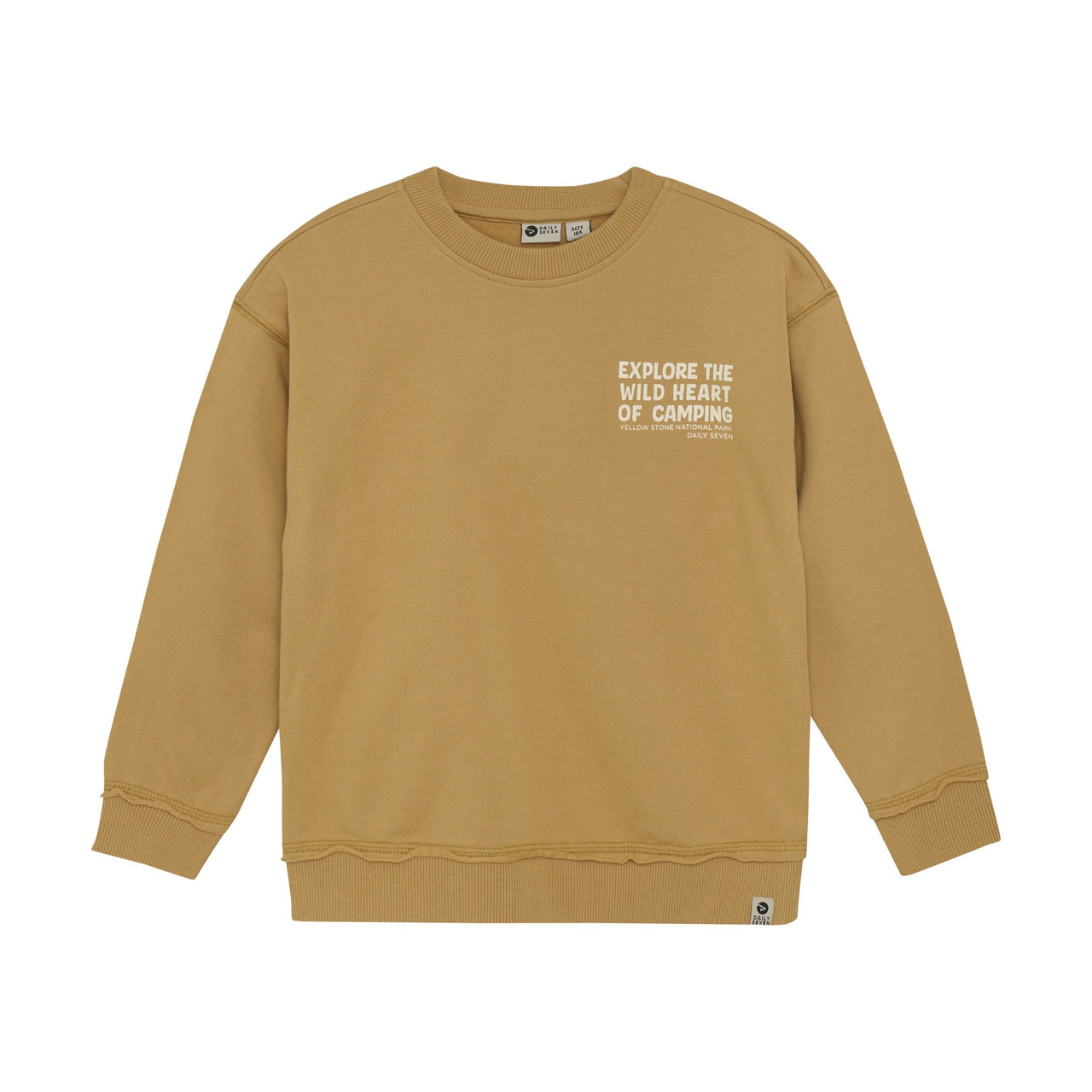National Park Oversized Sweatshirt