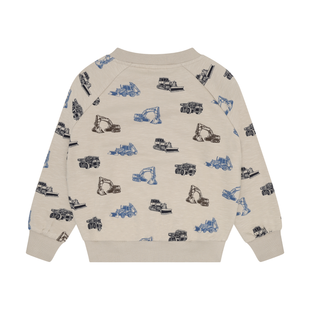 Feather Grey Printed Sweatshirt