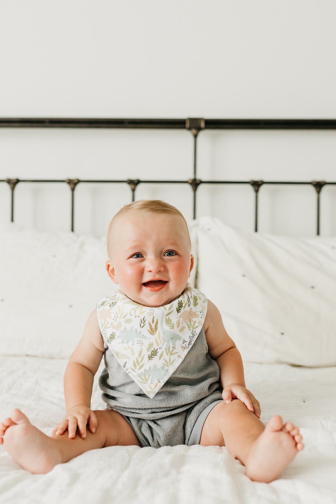 Baby Bandana Bib Set of 4 - Rex