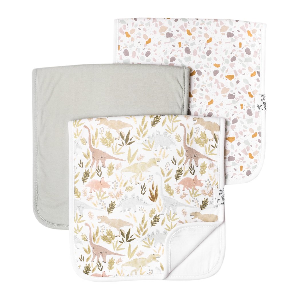 Burp Cloth Set 3 - Rex
