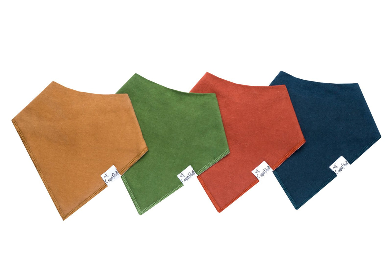 Baby Bandana Bib Set of 4 - Ridge