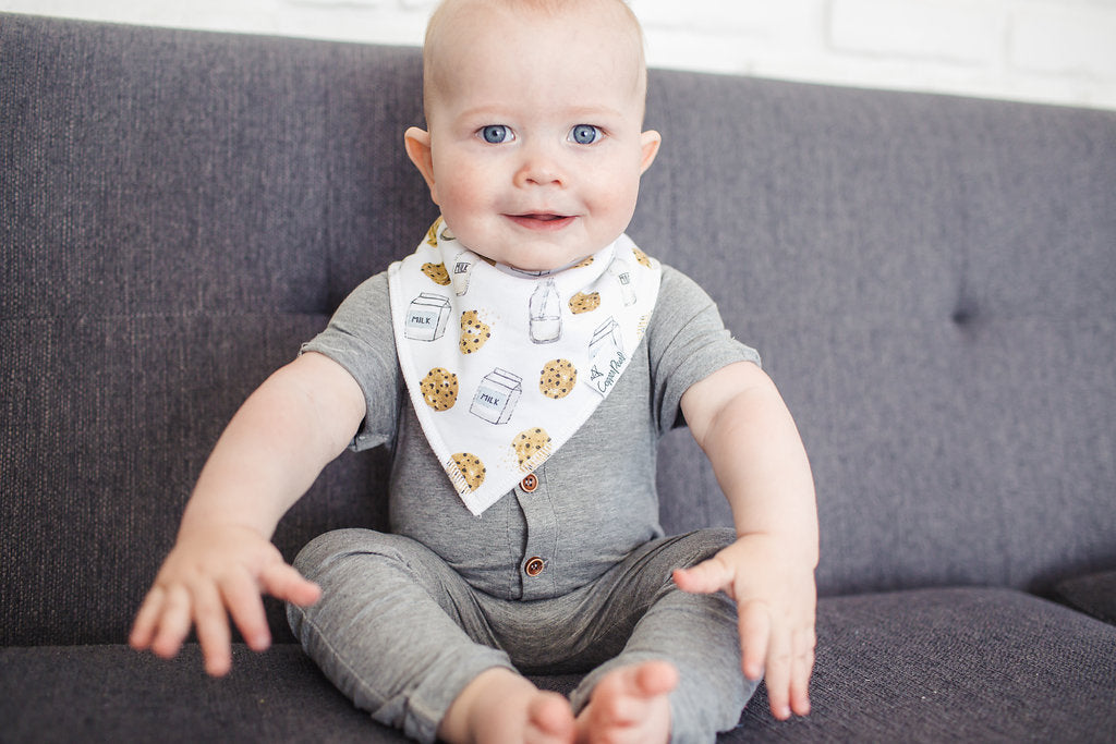 Baby Bandanna Bib Set of 4 - Chip